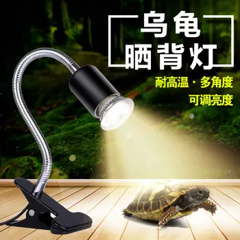Ползающий домашен любимец, костенурка, гущер, слънчева лампа, нагревательная лампа, самозалепваща лампа за писта от инсулт