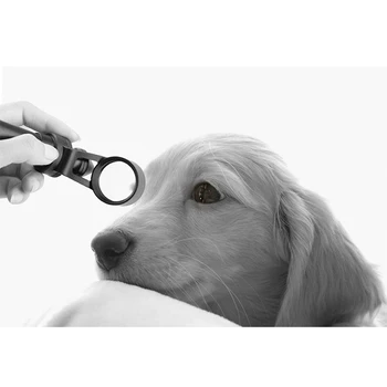 Дръжка за разглеждане на очите ветеринарен лекар Надлъжни лампи Мини Преносим Ветеринарна накрайник лампа